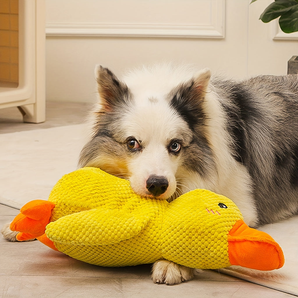 BideBamse Jouet en Peluche Durable pour Chiens et Chats