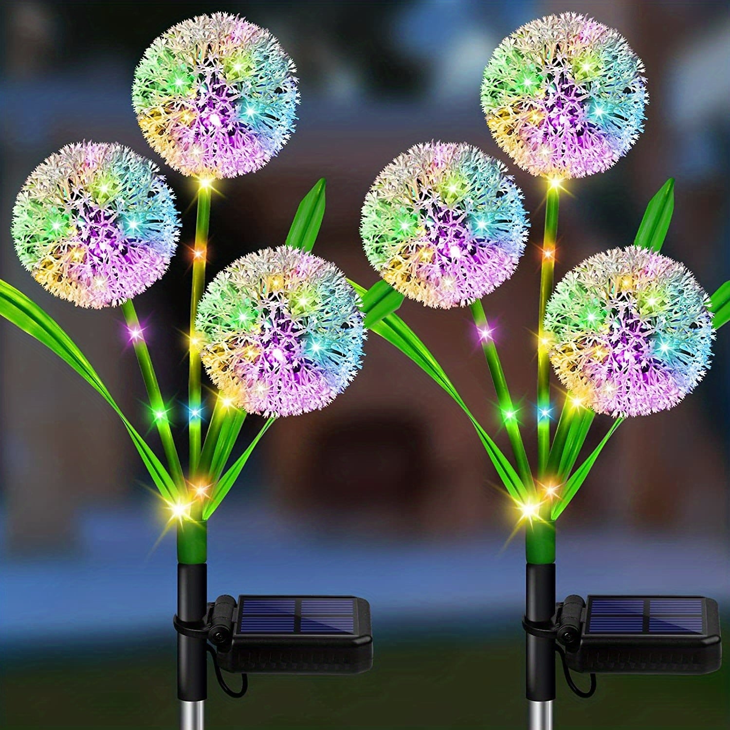 Lumières solaires dandelion rayonnantes