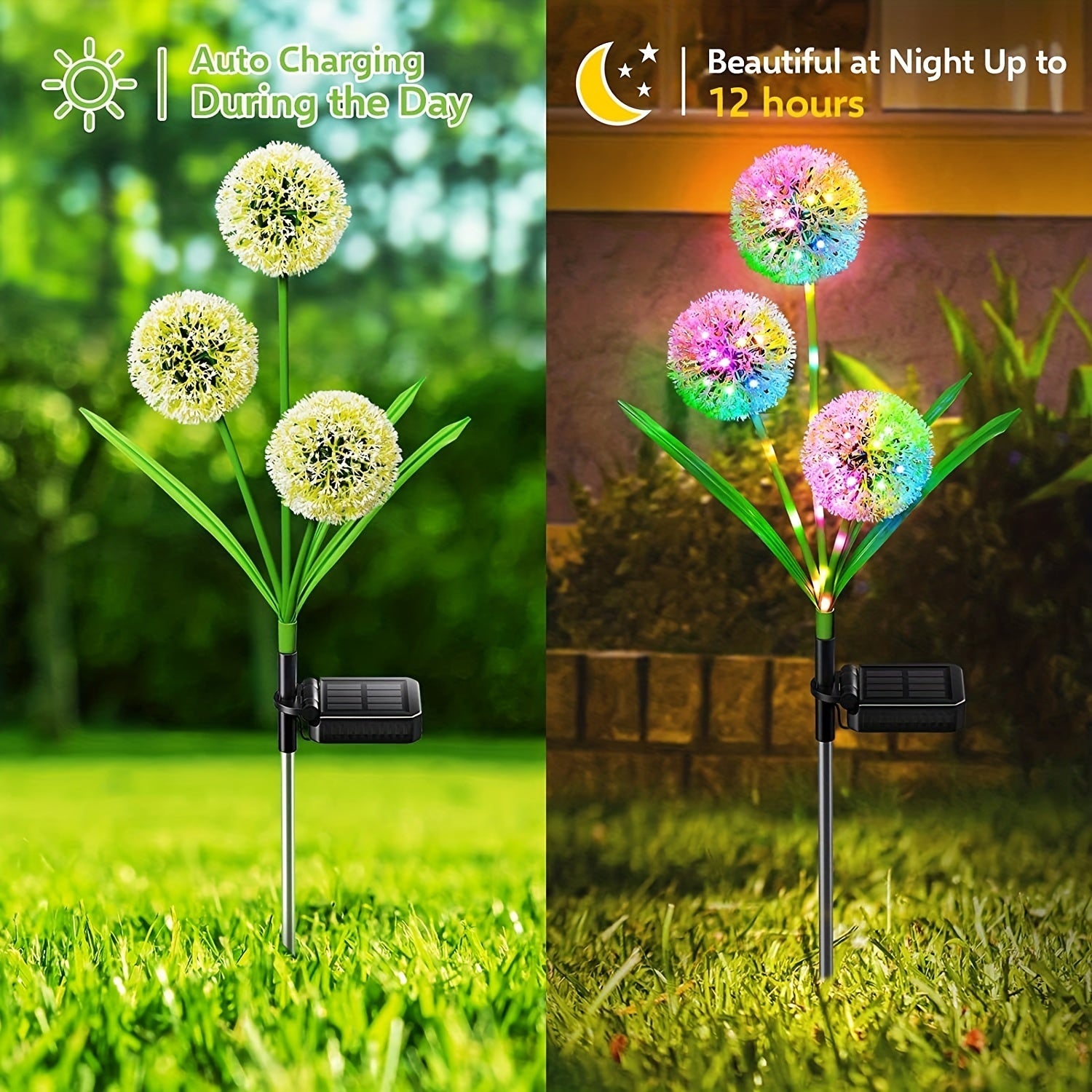 Lumières solaires dandelion rayonnantes