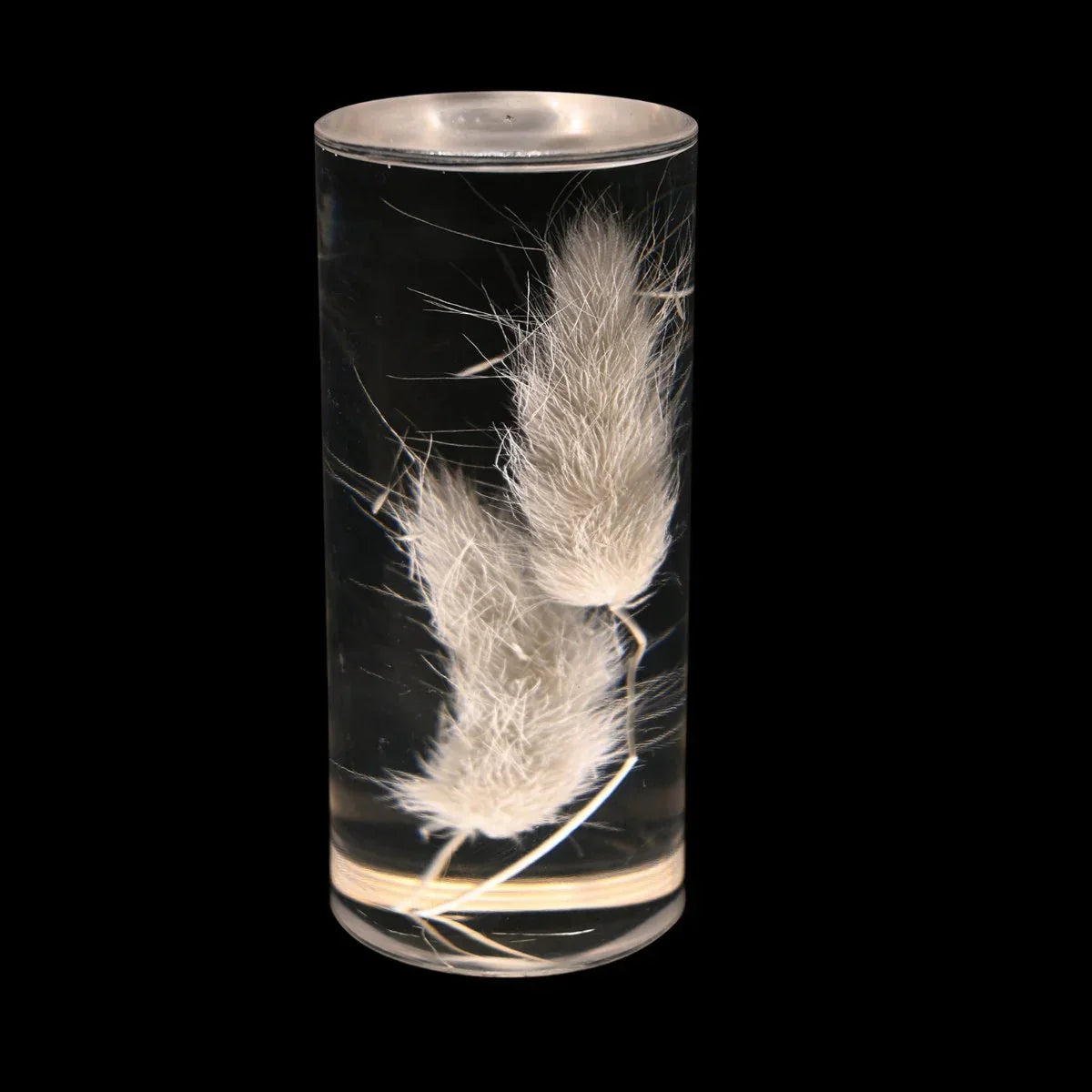 FloraGlow - Lampe de bureau LED avec socle cylindrique transparent rempli de fleurs
