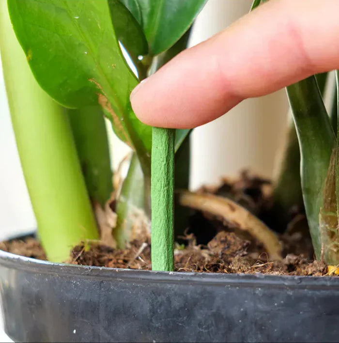 EcoBloom Nutriments – Engrais durable pour un entretien des plantes facile et sustainable