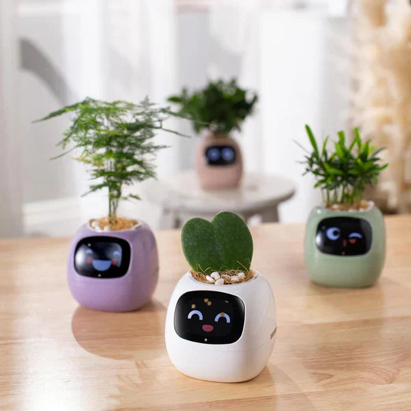 PlantPal - Jardinière intelligente avec animation