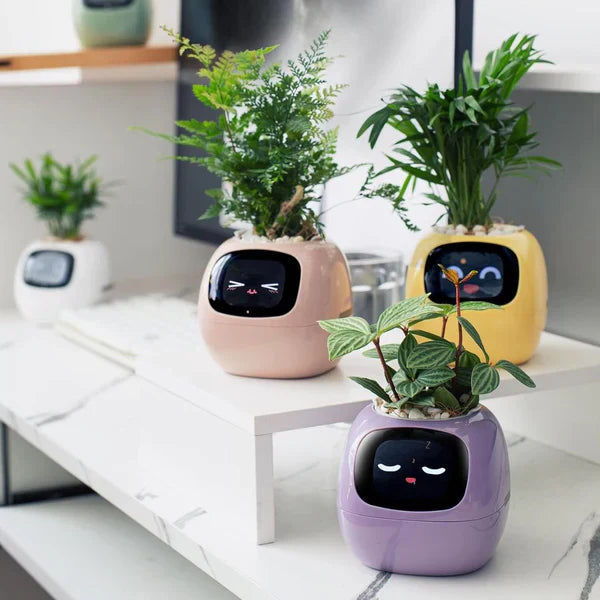 PlantPal - Jardinière intelligente avec animation