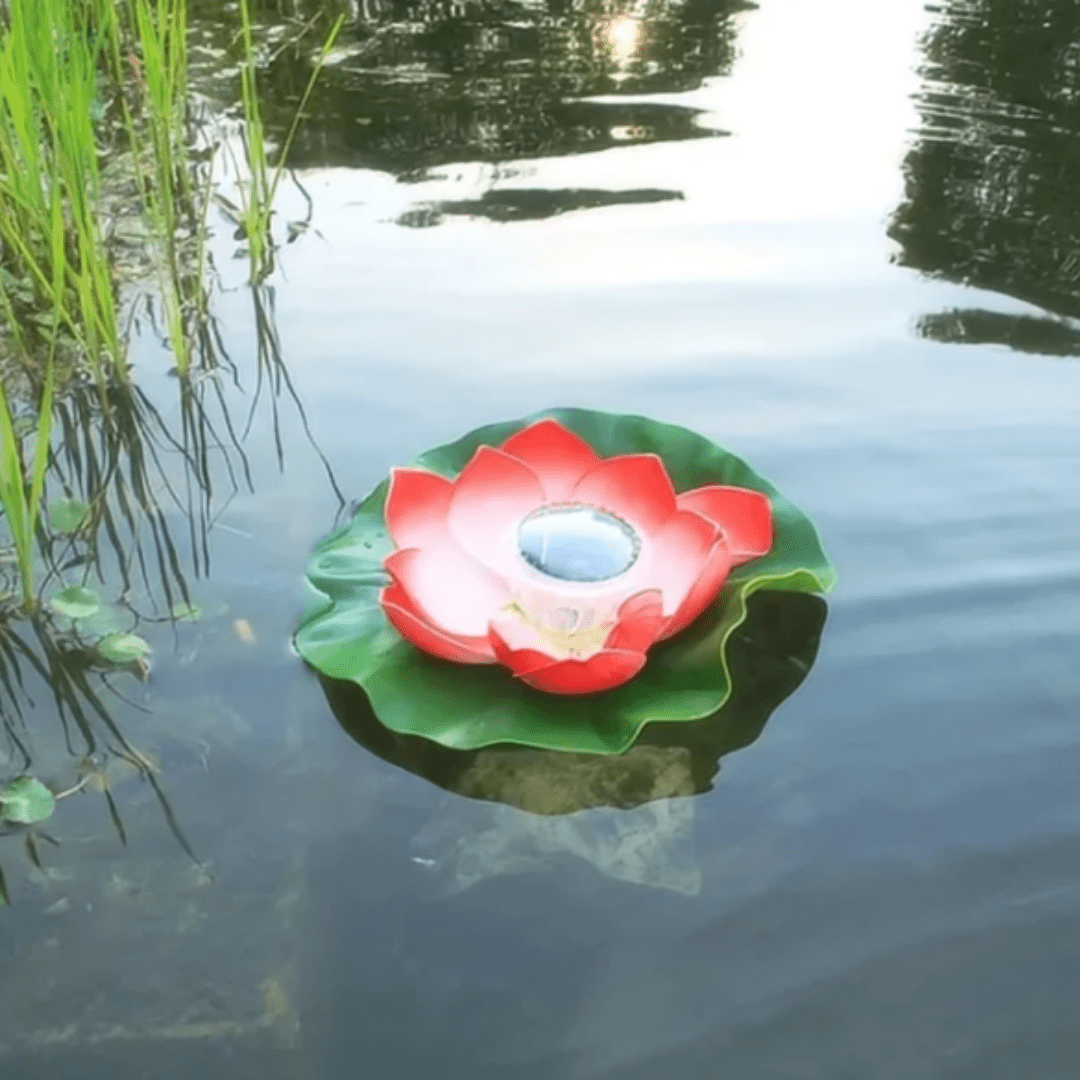 Fontaine de Sérénité SolarRose
