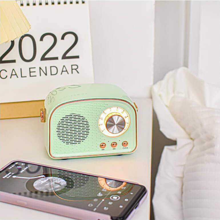Haut-parleur RetroSound Bluetooth avec radio FM