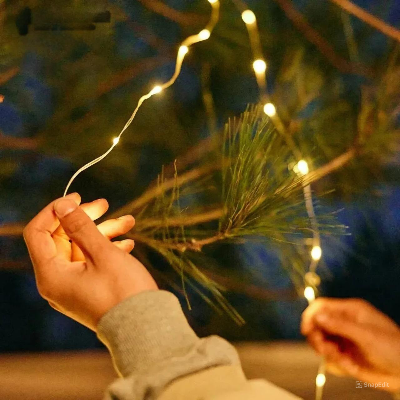 Guirlandes lumineuses Campify